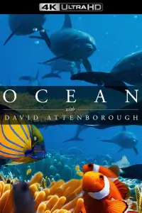 Poster to the movie "Ocean with David Attenborough" #990189