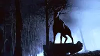 Backdrop to the movie "Bambi: The Reckoning" #699697