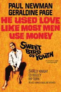 Poster to the movie "Sweet Bird of Youth" #963698