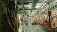 Backdrop to the movie "The Butcher