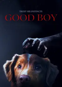 Poster to the movie "Good Boy" #899282