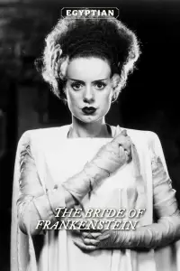 Poster to the movie "The Bride of Frankenstein" #933504