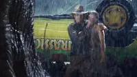 Backdrop to the movie "Jurassic Park" #800771