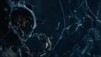 Backdrop to the movie "Atom & Void" #819228