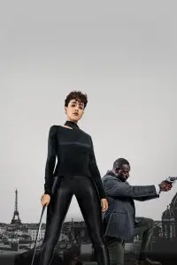 Poster to the movie "The Killer" #608283