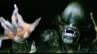 Backdrop to the movie "Alien" #723959
