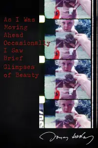 Poster to the movie "As I Was Moving Ahead, Occasionally I Saw Brief Glimpses of Beauty" #993348