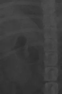 Poster to the movie "LA NOVIA DE MI AMIGO." #657992