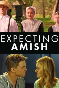 Poster to the movie "Expecting Amish" #972205