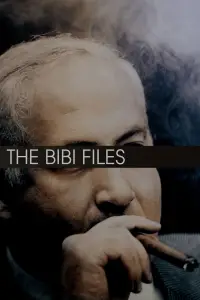 Poster to the movie "The Bibi Files" #704608