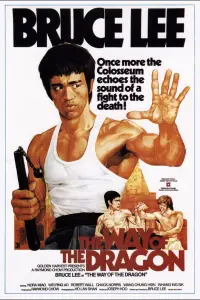 Poster to the movie "The Way of the Dragon" #948161