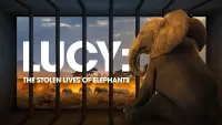 Backdrop to the movie "Lucy: The Stolen Lives of Elephants" #787538