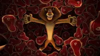 Backdrop to the movie "Madagascar" #699716