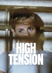 Poster to the movie "High Tension" #674142