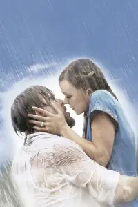 Poster to the movie "The Notebook" #528695