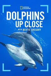 Poster to the movie "Dolphins Up Close with Bertie Gregory" #925248