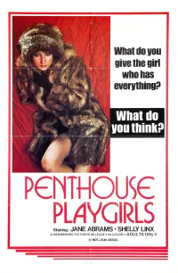 Poster to the movie "Penthouse Playgirls" #1165306