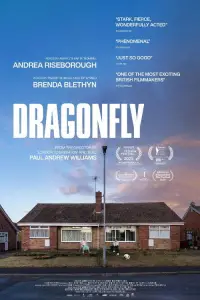 Poster to the movie "Dragonfly" #692828