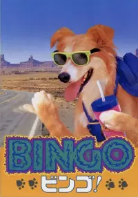 Poster to the movie "Bingo" #1088603