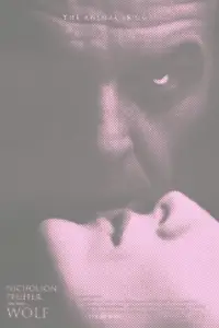 Poster to the movie "Wolf" #994840