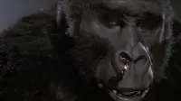 Backdrop to the movie "King Kong Lives" #857864