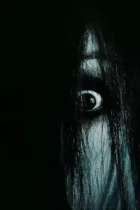 Poster to the movie "The Grudge" #866098