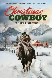 Poster to the movie "Christmas Cowboy" #1064085