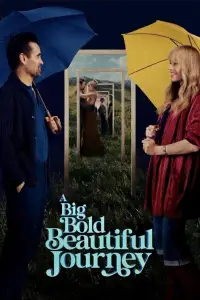 Poster to the movie "A Big Bold Beautiful Journey" #900176