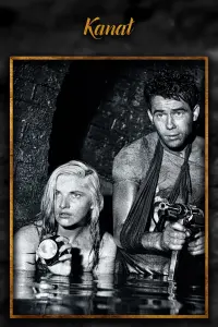 Poster to the movie "Kanal" #694975