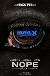 Poster to the movie "Nope" #817626