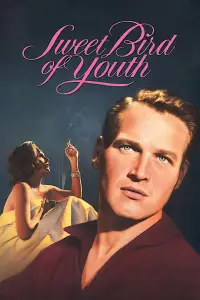 Poster to the movie "Sweet Bird of Youth" #963690