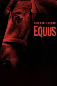 Poster to the movie "Equus" #1179348