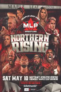 Poster to the movie "MLP Northern Rising" #791583