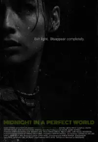 Poster to the movie "Midnight in a Perfect World" #1207259