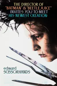 Poster to the movie "Edward Scissorhands" #1058798
