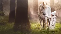 Backdrop to the movie "Tale of the Forest Unicorn" #747834