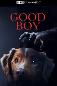 Poster to the movie "Good Boy" #517407