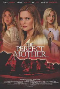 Poster to the movie "Almost Perfect" #1162790