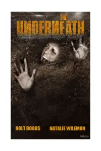 Poster to the movie "The Underneath" #738798