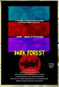 Poster to the movie "Dark Forest" #744215