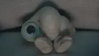 Backdrop to the movie "Marcel the Shell with Shoes On" #857570