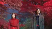 Backdrop to the movie "Dolls" #796317