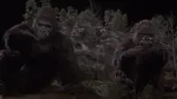 Backdrop to the movie "King Kong Lives" #857866