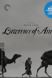 Poster to the movie "Lawrence of Arabia" #791938