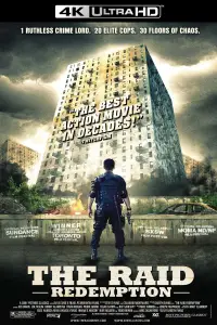 Poster to the movie "The Raid" #939865