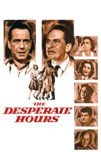 Poster to the movie "The Desperate Hours" #719501