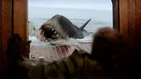 Backdrop to the movie "Jaws" #521009