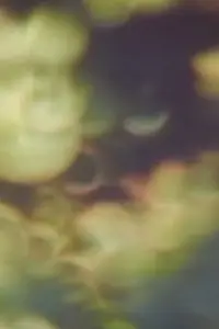 Poster to the movie "Refractions in Green" #1158824