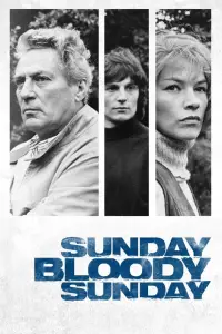 Poster to the movie "Sunday Bloody Sunday" #1115125