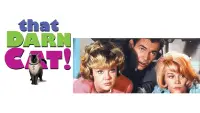 Backdrop to the movie "That Darn Cat!" #978407